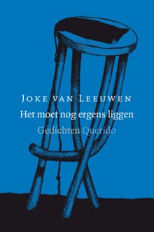 Het moet nog ergens liggen - Joke van Leeuwen