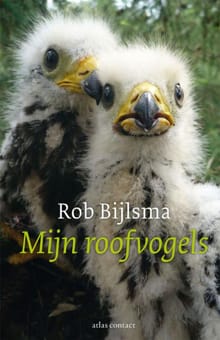 Mijn roofvogels - Rob Bijlsma