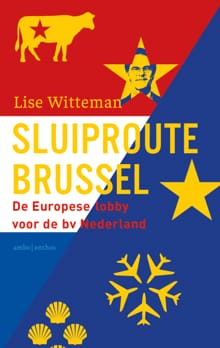 Sluiproute Brussel - Lise Witteman