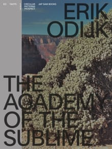 Erik Odijk. The Academy of the Sublime - Ilja Leonard Pfeijffer, Hans Maarten van den Brink, ...