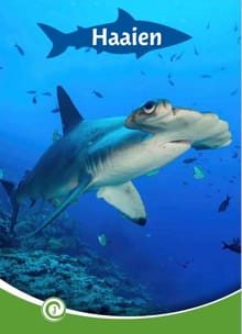 Haaien - Geert-Jan Roebers