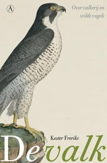 De valk - K. Freriks, Kester Freriks
