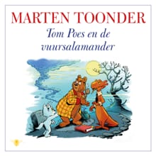 Tom Poes en de vuursalamander - Marten Toonder