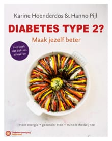 Diabetes type 2? Maak jezelf beter - Karine Hoenderdos, Hanno Pijl