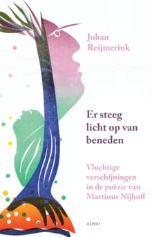 Er steeg licht op van beneden - Johan Reijmerink