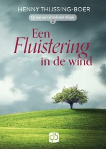 Een fluistering in de wind - Henny Thijssing-Boer