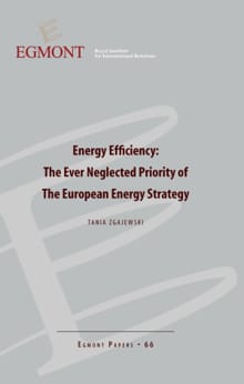 Energy Efficiency: The Ever Neglected Priority of The European Energy Strategy - Tanja Zgajewski,  Agnes Verbruggen, ...