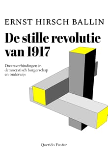 De stille revolutie van 1917 - Ernst Hirsch Ballin