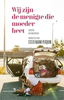 Wij zijn de menigte die moeder heet - Ester Naomi Perquin