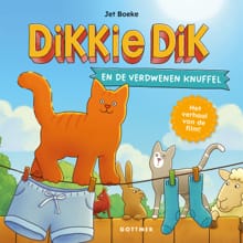 Dikkie Dik en de verdwenen knuffel - Jet Boeke