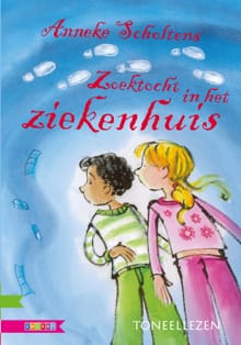 Zoektocht in het ziekenhuis - Anneke Scholtens