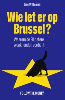 Wie let er op Brussel? - Lise Witteman