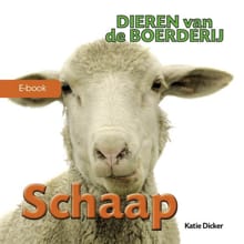 Schaap - Katie Dicker