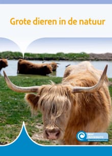 Grote dieren in de natuur - Susan Schaeffer
