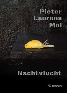 Pieter Laurens Mol. Nachtvlucht - 