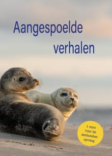 Aangespoelde verhalen - Elly van Driel, Marianne Leerkes, ...
