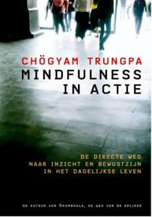 Mindfulness in actie - Chögyam Trungpa
