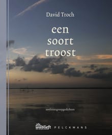 een soort troost - David Troch