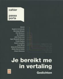 Je bereikt me in vertaling - 