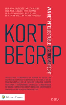 Kort begrip van het intellectuele eigendomsrecht - 