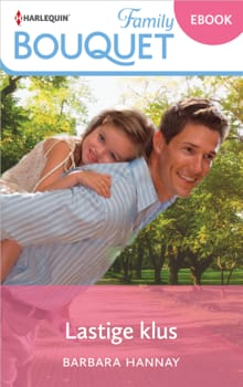 Lastige klus - Barbara Hannay