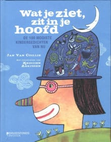 Wat je ziet, zit in je hoofd - Jan van  Collie