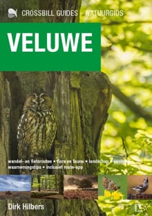 Veluwe - Dirk Hilbers