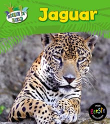 Jaguar - Anita Ganeri
