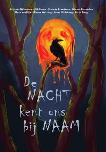 De nacht kent ons bij naam - Mark van Dijk, Rik Raven, ...