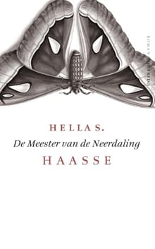 De meester van de neerdaling - Hella S. Haasse