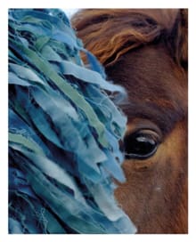 Ao - Charlotte Dumas, Maria Barnas