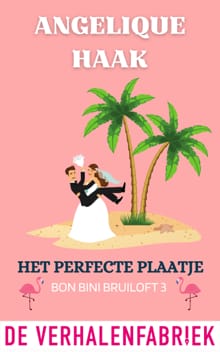 Het perfecte plaatje - Angelique Haak