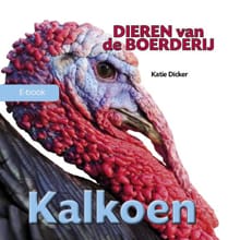 Kalkoen - Katie Dicker