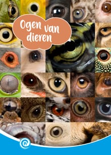 Ogen van dieren - Ditte Merle