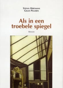 Als in een troebele spiegel - Stefan Hertmans, Gilles Pellerin