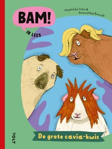 De grote cavia-kwis - Mathilde Stein