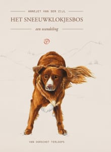 Het sneeuwklokjesbos - Annejet van der Zijl