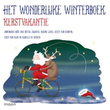 Het wonderlijke winterboek - Kerstvakantie - Coco van Rijn, Annemarie Bon, ...