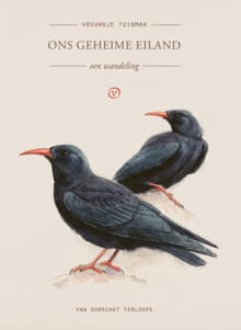 Ons geheime eiland - Vrouwkje Tuinman