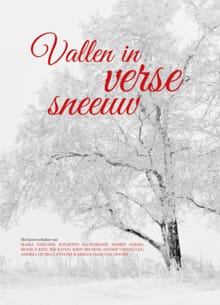 Vallen in verse sneeuw - Maria Visscher, Raymond Zachariasse, ...