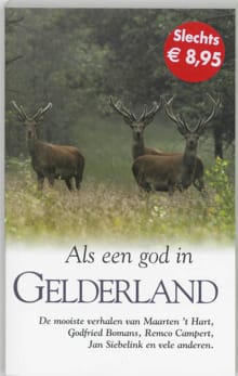Als een god in Gelderland - H.P. de Boer