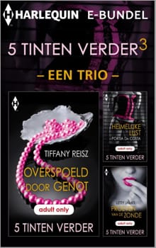 5 Tinten Verder e-bundel - een trio - 3 - Tiffany Reisz, Sherri Denora, ...