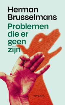 Problemen die er geen zijn - Herman Brusselmans