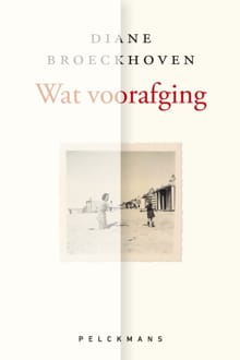 Wat voorafging - Diane Broeckhoven