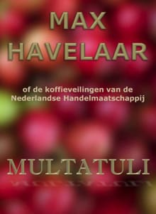 Max Havelaar of de koffieveilingen van de Nederlandse Handelmaatschappij -  Multatuli