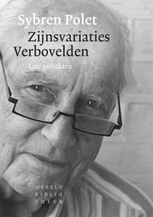 Zijnsvariaties. Verbovelden - Sybren Polet
