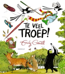 Te veel troep - Emily Gravett