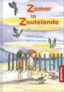Zomer in Zoutelande - Johanna Kruit