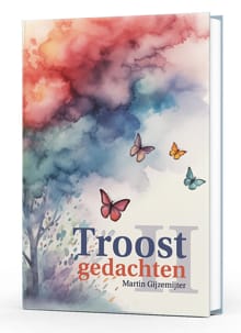 Troostgedachten II - Martin Gijzemijter
