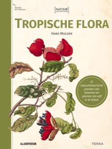 Natuur aan de muur - Tropische Flora - Hans Mulder